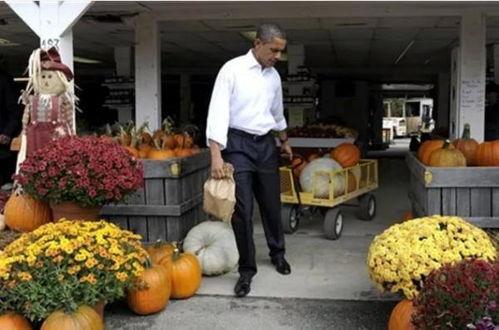 马家屯吃瓜视频,揭秘乡村生活趣味瞬间