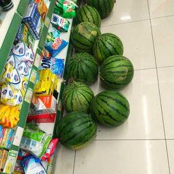 吃瓜专业的视频,带你领略视频背后的趣味与真相