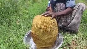 树下吃瓜老爷爷视频下载,重温温馨视频瞬间