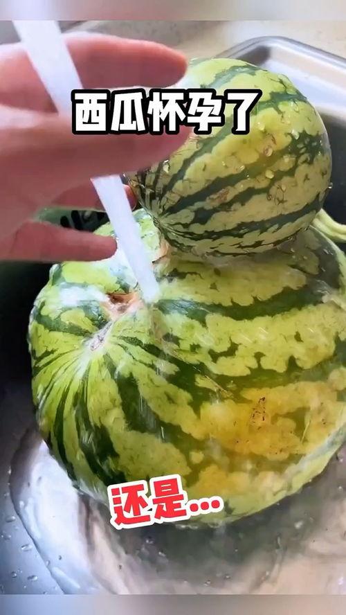 大嘴吃哈密瓜搞笑视频在线观看,欢乐无限搞笑瞬间