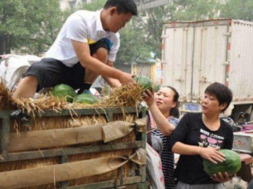 文安县梅花吃瓜视频,一场别开生面的乡村盛宴