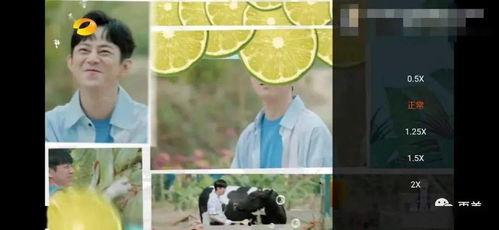 乘风破浪吃瓜群众视频,揭秘吃瓜群众的狂欢盛宴