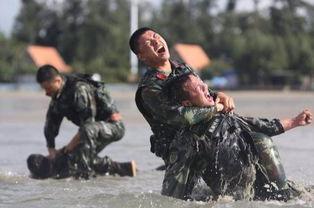 韩国特种兵吃瓜视频播放